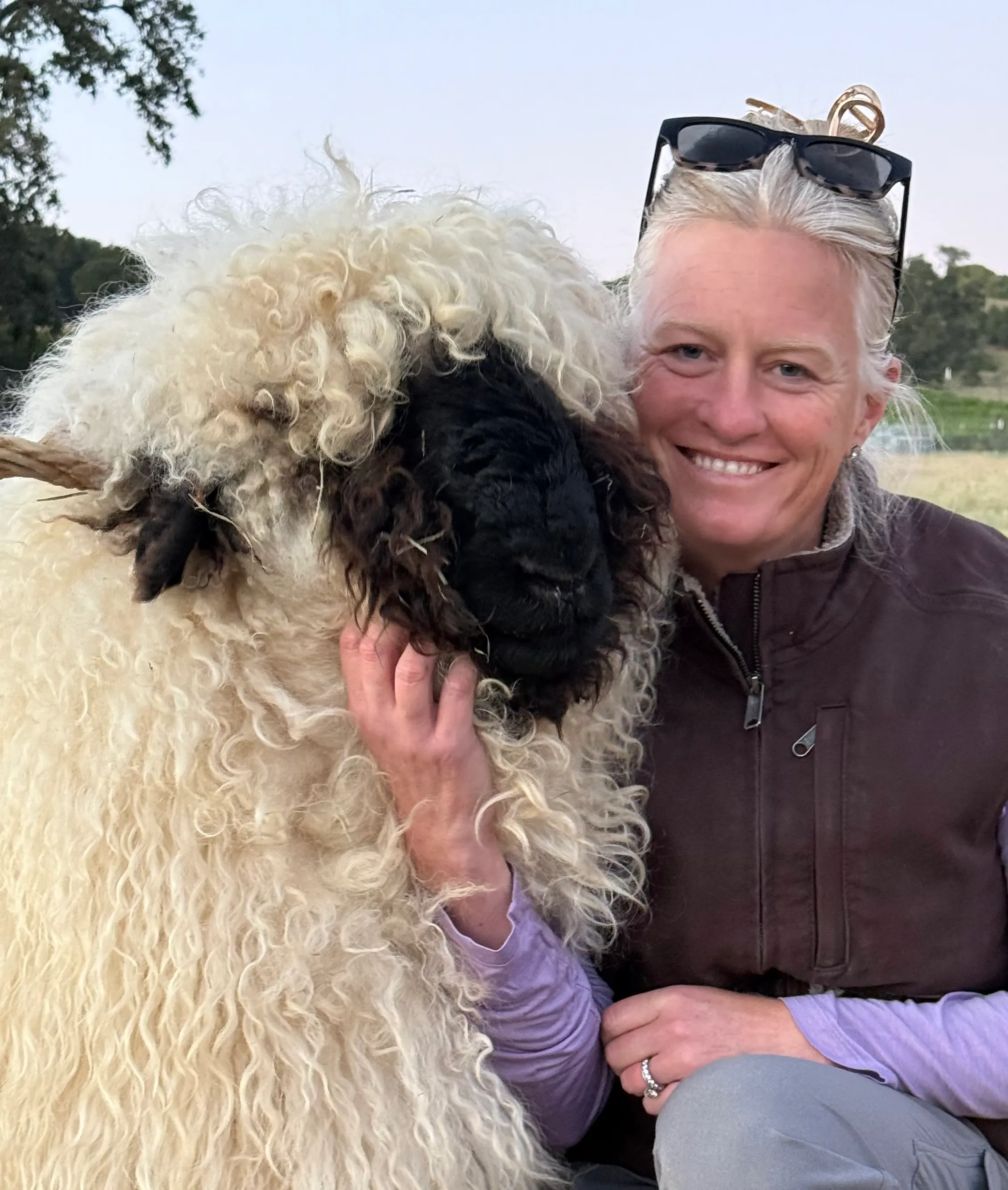 Autumn L. Badelt-Fanning, DVM, with a Valais Blacknose sheep